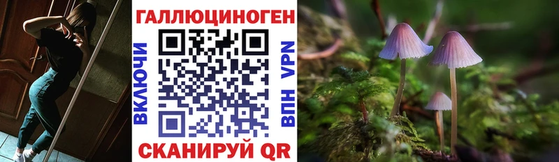 купить  сайты  Волосово  Псилоцибиновые грибы GOLDEN TEACHER 